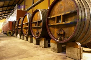 Vaucluse France Prints: The wine cellar