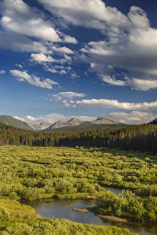 The Wise River in the Pioneer Mountains in the Beaverhead-Deer Lodge National Forest The Wise River in the Pioneer Mountains in the Beaverhead-Deer Lodge National Forest