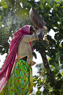 Woman minnowing, Udaipur, Rajasthan, India. (MR) Woman minnowing, Udaipur, Rajasthan, India. (MR)