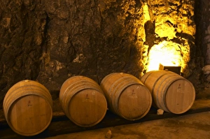 Wooden barrels for fermenting and aging white wine. Chateau Romanin Wooden barrels for fermenting and aging white wine. Chateau Romanin