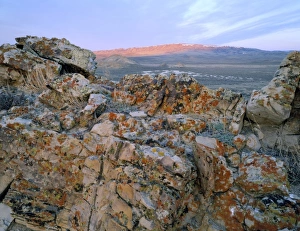 Wyoming. USA. Lichen-covered rock at sunrise. Great Divide Basin. Bull Springs Rim in distance Wyoming. USA. Lichen-covered rock at sunrise. Great Divide Basin. Bull Springs Rim in distance