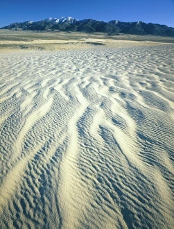 Wyoming. USA. Ripples in dunes below Ferris Mountains. Ferris Dunes, Great Divide Basin Wyoming. USA. Ripples in dunes below Ferris Mountains. Ferris Dunes, Great Divide Basin
