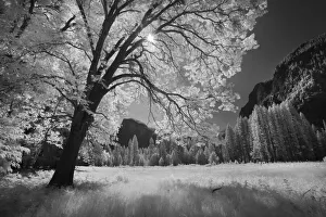 Yosemite Valley in infrared black and white, Yosemite National Park, California Yosemite Valley in infrared black and white, Yosemite National Park, California