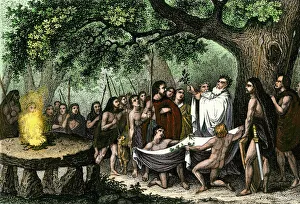 Druids collecting sacred mistletoe Druids collecting sacred mistletoe