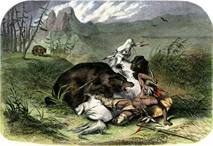 Grizzly bear attacking a Pawnee hunter Grizzly bear attacking a Pawnee hunter