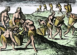 Natives gathering food in Florida, 1500s Natives gathering food in Florida, 1500s