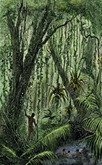 New World natives in a rain forest New World natives in a rain forest