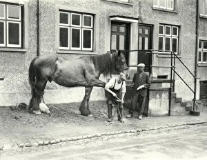 Blacksmith at White Hart, Petworth - July 1939 Blacksmith at White Hart, Petworth - July 1939