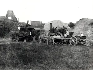 Prints of Messrs. J.O. Lugg and Son of Billingshurst, threshing in the Petworth area Photograph by George Garland Garland Collection West Sussex Record Office Ref No: Garland N4922 Sussex Prints: Steam threshing print, 1931