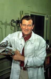 Old Hollywood Actor Portraits Prints: John Wayne