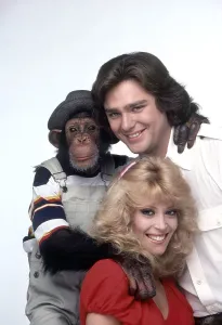 Classic TV Comedies Prints: B.J. & THE BEAR, clockwise: Sam the Chimp, Greg Evigan, Judy Landers, (1981), 1978-1981