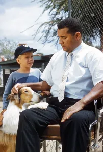 Classic Television Series Prints: LASSIE, from left: Lassie, Jon Provost