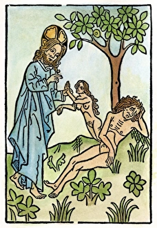 ADAM AND EVE. God creating Eve from the rib of Adam as he sleeps under the Tree of Knowledge ADAM AND EVE. God creating Eve from the rib of Adam as he sleeps under the Tree of Knowledge