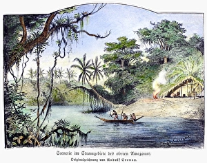 Brazilian Rainforest Scene Prints: AMAZON JUNGLE, 1892. A scene on the upper Amazon. Drawing, German, 1892