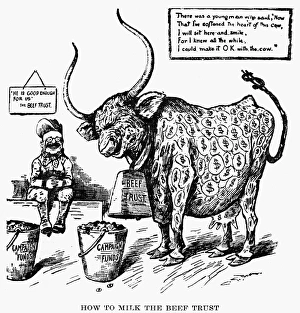 American newspaper cartoon accusing President Theodore Roosevelt of milking the Beef Trust for campaign contributions American newspaper cartoon accusing President Theodore Roosevelt of milking the Beef Trust for campaign contributions