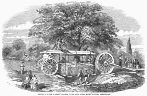 Royal Botanic Gardens London Prints: BOTANY: TREE REMOVAL. Removal of a tree by Barrons machine