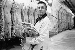 BUTCHER, 1949. An American butcher holding a slab of beef in a packinghouse BUTCHER, 1949. An American butcher holding a slab of beef in a packinghouse