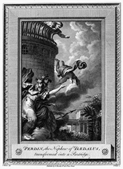 Prints of DAEDALUS AND PERDIX. After Daedalus throws his nephew, Perdix, from the Temple of Athena on the Acropolis, Athena transforms Perdix into a partridge Daedalus Prints: Daedalus and Perdix Print, Copper Engraving