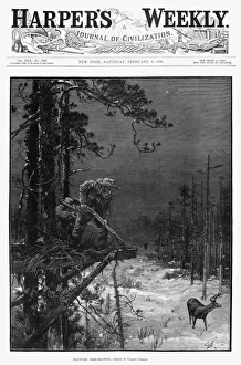 DEER HUNTER, 1886. Platform Deer-Shooting. Engraving from the front page of Harpers Weekly DEER HUNTER, 1886. Platform Deer-Shooting. Engraving from the front page of Harpers Weekly