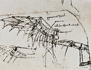 Design for a flying machine wing operated by a spring Design for a flying machine wing operated by a spring