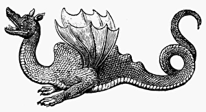DRAGON, 1640. Draco Aethiopicus. Woodcut from Ulisse Aldrovandis Serpentum et DRAGON, 1640. Draco Aethiopicus. Woodcut from Ulisse Aldrovandis Serpentum et