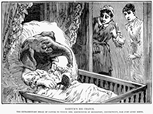 ELEPHANT BOY HOAX, 1887. Barnums big chance. The extraordinary freak of nature to which ELEPHANT BOY HOAX, 1887. Barnums big chance. The extraordinary freak of nature to which