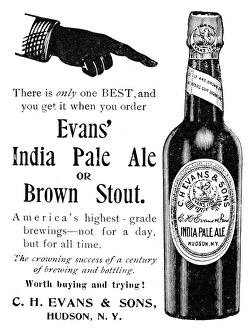 EVANS INDIA PALE ALE, 1895. American newspaper advertisement, 1895 EVANS INDIA PALE ALE, 1895. American newspaper advertisement, 1895