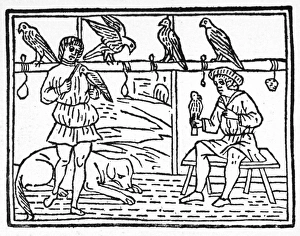 FALCONRY, c1250. Jordanus Ruffus, blacksmith and stablemaster to Emperor Frederick II FALCONRY, c1250. Jordanus Ruffus, blacksmith and stablemaster to Emperor Frederick II