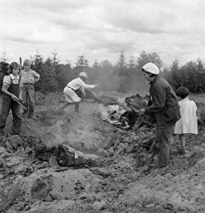 FARM FAMILY, 1939. A family gathering debris, roots and chunks from the field to FARM FAMILY, 1939. A family gathering debris, roots and chunks from the field to