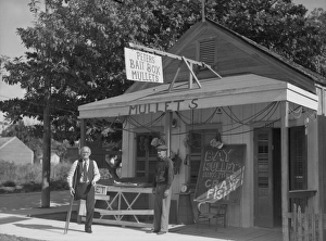 FLORIDA: BAIT SHOP, 1938. Bait shop in Key West, Florida. Photograph by Arthur Rothstein FLORIDA: BAIT SHOP, 1938. Bait shop in Key West, Florida. Photograph by Arthur Rothstein