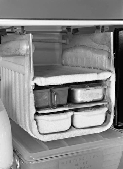 FREEZER, 1942. Ice trays in an American freezer. Photograph by Ann Rosener, 1942 FREEZER, 1942. Ice trays in an American freezer. Photograph by Ann Rosener, 1942
