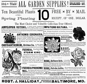 GARDEN SUPPLIES AD, 1887. American advertisement, 1887 GARDEN SUPPLIES AD, 1887. American advertisement, 1887