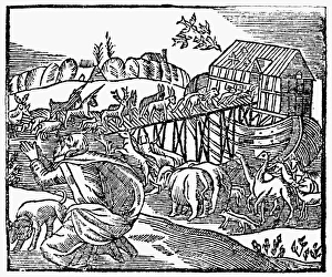 GENESIS: NOAH'S ARK. Woodcut, English, 1708 GENESIS: NOAH'S ARK. Woodcut, English, 1708