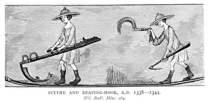 HARVESTING, c1340. Reapers and harvesters. Engraving after an English manuscript HARVESTING, c1340. Reapers and harvesters. Engraving after an English manuscript