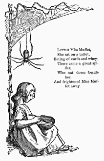 LITTLE MISS MUFFET. Wood engraving, late-19th century, for the nursery rhyme from Mother Goose LITTLE MISS MUFFET. Wood engraving, late-19th century, for the nursery rhyme from Mother Goose