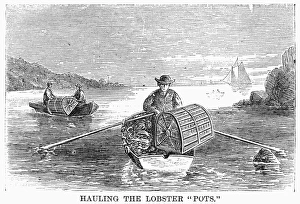 LOBSTER FISHING, 1868. Hauling the lobster pots. Wood engraving, 1868 LOBSTER FISHING, 1868. Hauling the lobster pots. Wood engraving, 1868