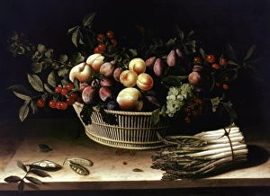 Louise Moillon: Still life of fruit basket and box of asparagus. Oil, 17th century Louise Moillon: Still life of fruit basket and box of asparagus. Oil, 17th century
