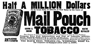 MAIL POUCH TOBACCO, 1896. American magazine advertisement, 1896 MAIL POUCH TOBACCO, 1896. American magazine advertisement, 1896