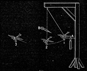 Method for starting Gustave Trouves ornithopter. Invented in 1870, it was the first ornithopter to successfully fly Method for starting Gustave Trouves ornithopter. Invented in 1870, it was the first ornithopter to successfully fly