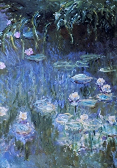 MONET: WATERLILIES. Claude Monet: Waterlilies. Oil on canvas MONET: WATERLILIES. Claude Monet: Waterlilies. Oil on canvas