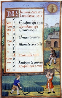 MOWING GRASS IN JUNE. Miniature from a Flemish Book of Hours, c1500 MOWING GRASS IN JUNE. Miniature from a Flemish Book of Hours, c1500
