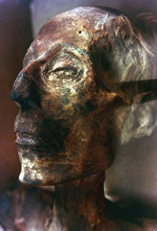 Mummified Head of King Ramses II Print (1292-1225 B.C.). Art ...