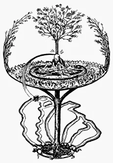 Norse Mythology Prints: Print of Yggdrasil, a line engraving from Finn Magnusen's Eddalaeren