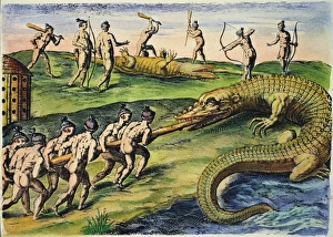 NATIVE AMERICANS: CROCODILES, 1591. Florida Native Americans killing crocodiles (alligators) NATIVE AMERICANS: CROCODILES, 1591. Florida Native Americans killing crocodiles (alligators)