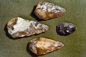 Paleolithic Tools Print: Flint Hand Axes from London