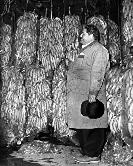 NEW YORK: BANANA INDUSTRY. Sy Bayman, manager of the Curatolo Banana Corporation NEW YORK: BANANA INDUSTRY. Sy Bayman, manager of the Curatolo Banana Corporation