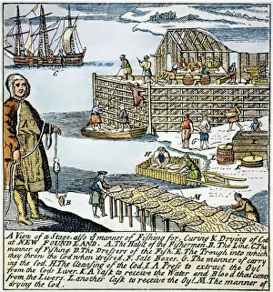NEWFOUNDLAND FISHERY, 1738. Fishing for, curing and drying codfish in Newfoundland. Color English engraving, 1738 NEWFOUNDLAND FISHERY, 1738. Fishing for, curing and drying codfish in Newfoundland. Color English engraving, 1738