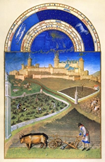 Plowing with oxen and pruning vines in March. Illumination from the 15th century manuscript of the Tres Riches Heures of Jean, Duke of Berry