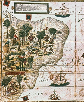 PORTUGUESE MAP OF BRAZIL. Between the Amazon River and the Rio de la Plata, 1519 PORTUGUESE MAP OF BRAZIL. Between the Amazon River and the Rio de la Plata, 1519