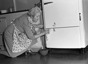 REFRIGERATOR, 1942. A woman cleaning her refrigerator. Photograph by Ann Rosener, 1942 REFRIGERATOR, 1942. A woman cleaning her refrigerator. Photograph by Ann Rosener, 1942
